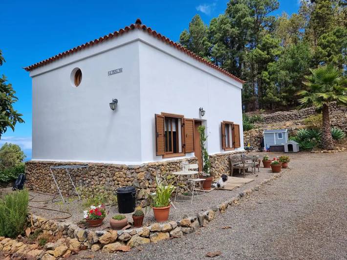 Villa pour 4 personnes, avec jardin, animaux acceptés à Tenerife - 3