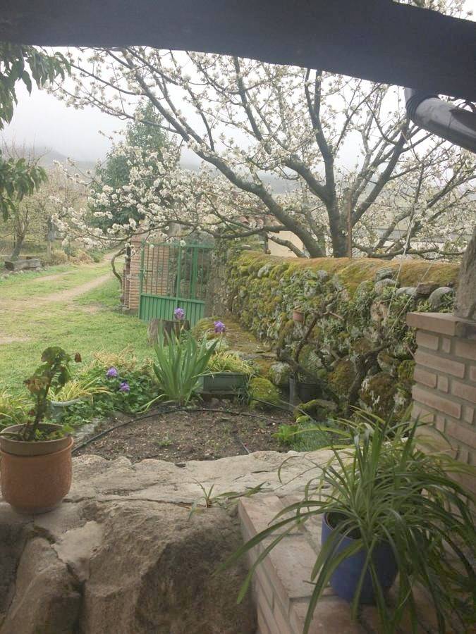 Apartamento entero, La Antigua Tahona in Navaconcejo, Valle del Jerte