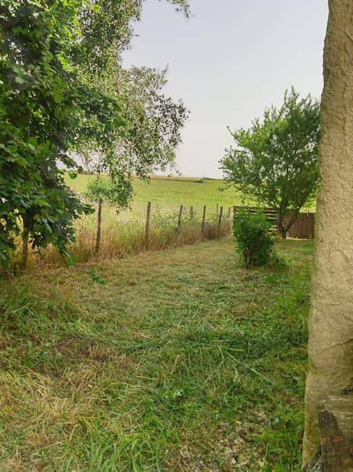 Location de vacances pour 10 personnes, avec jardin ainsi que piscine et vue, animaux acceptés à Farges-lès-Chalon - 2