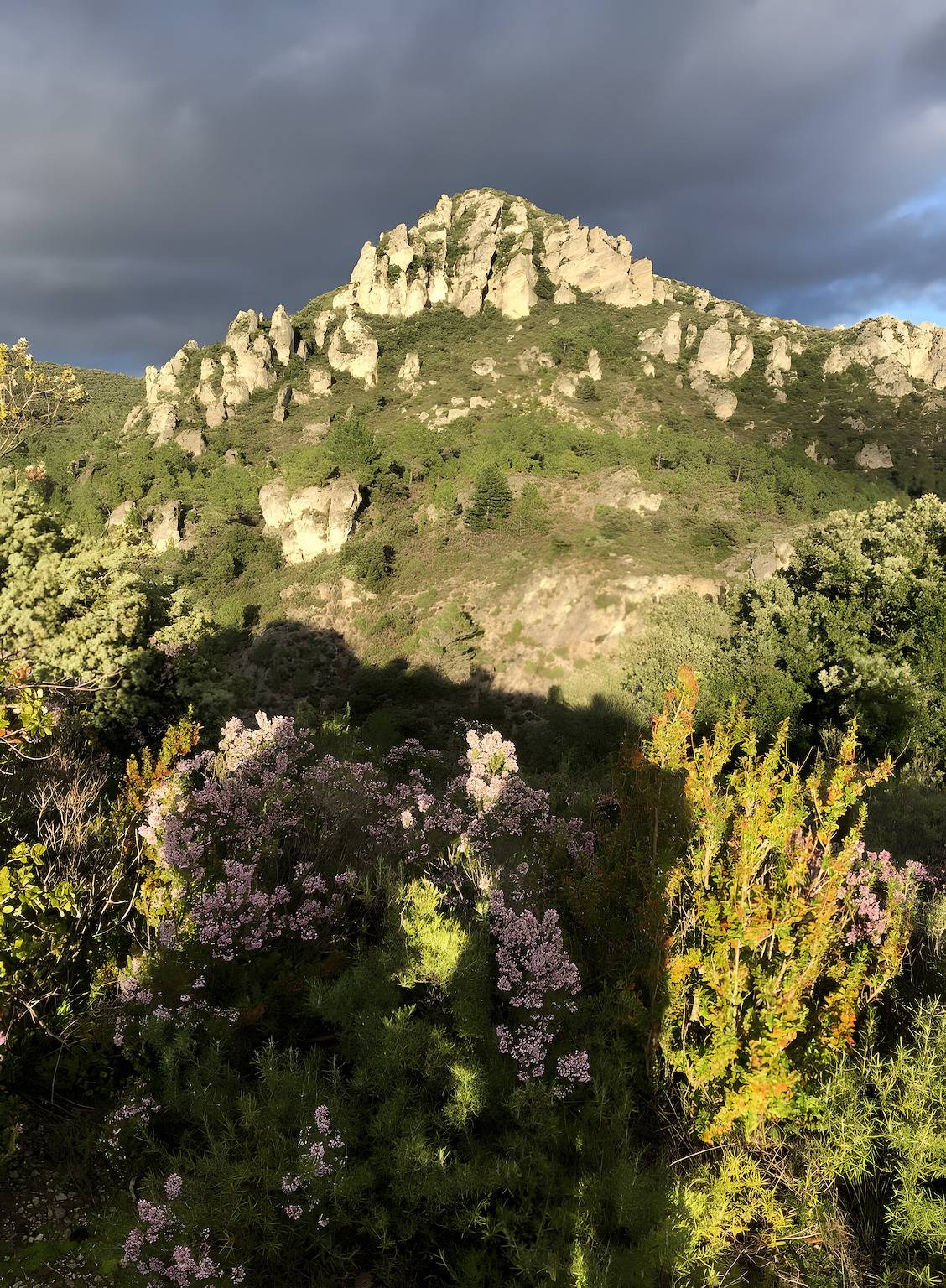 Villa 'Dans Site Exceptionnel' mit Bergblick, Wlan und Klimaanlage in Mourèze, Lodève und Umgebung