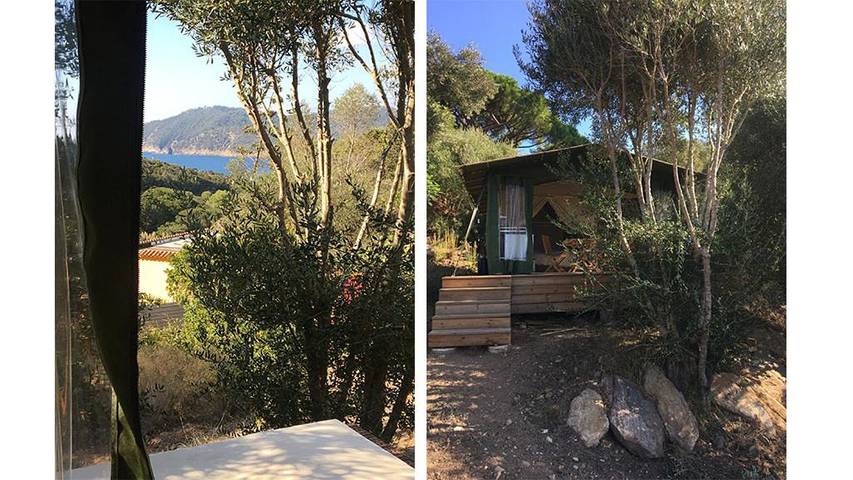 Gîte pour 6 personnes, avec vue et jardin dans Île du Levant - 4