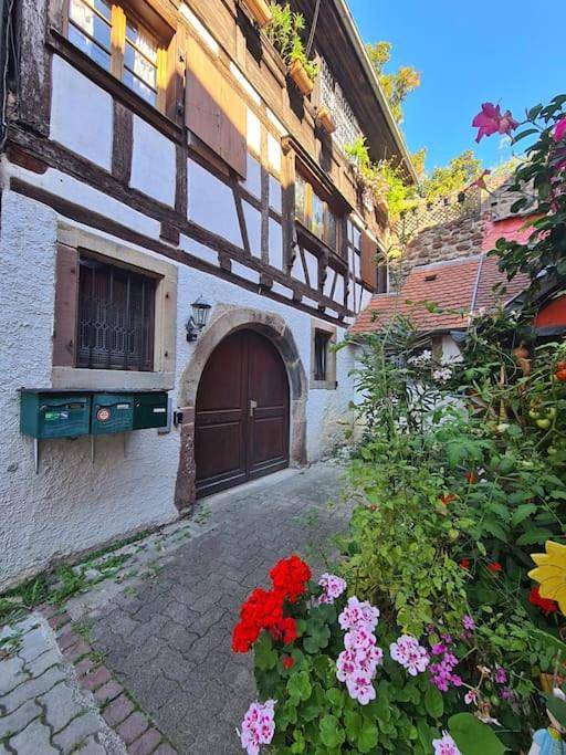 Appartement entier, One-Bedroom Apartment in Obernai, Région de Sélestat-Erstein