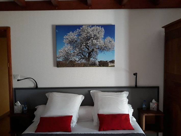 Chambre d’hôte pour 4 personnes dans les Deux-Sèvres - 3