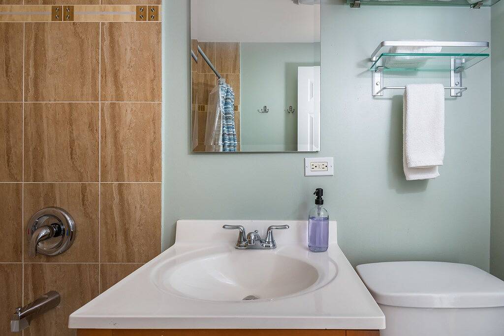 Ganze Wohnung, Voll ausgestattete Wohnung in Andersonville-Must See! in Chicago, Cook County