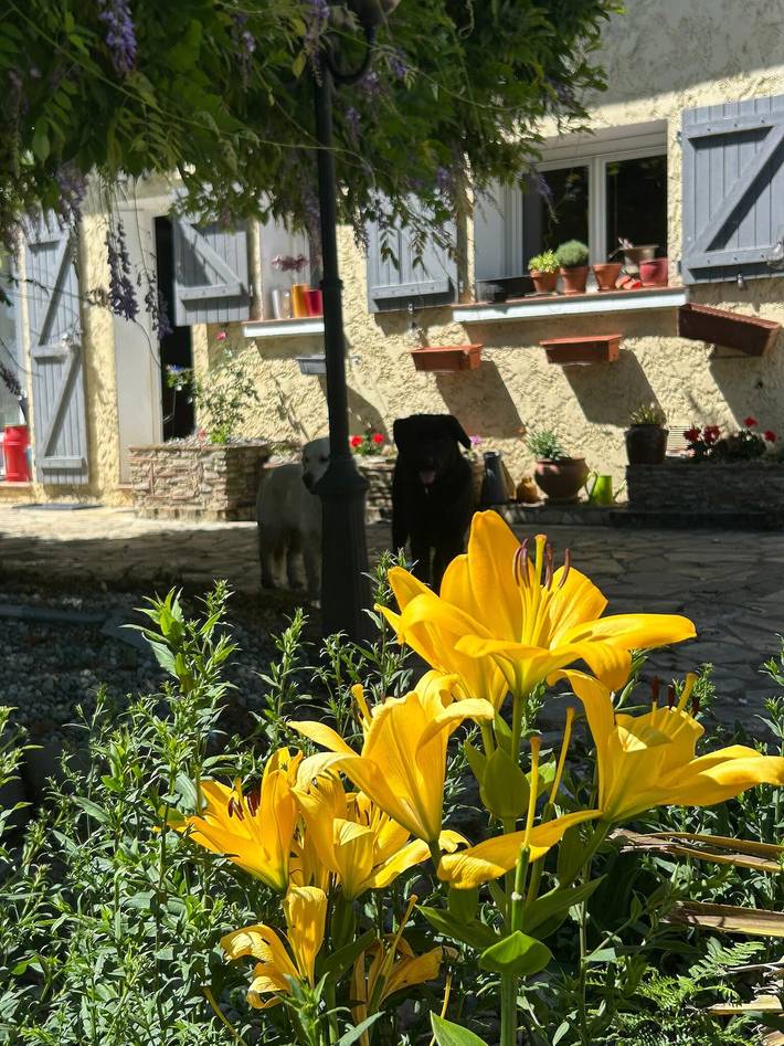 Peaceful countryside villa with sauna & panoramic views in Parbayse, Béarn