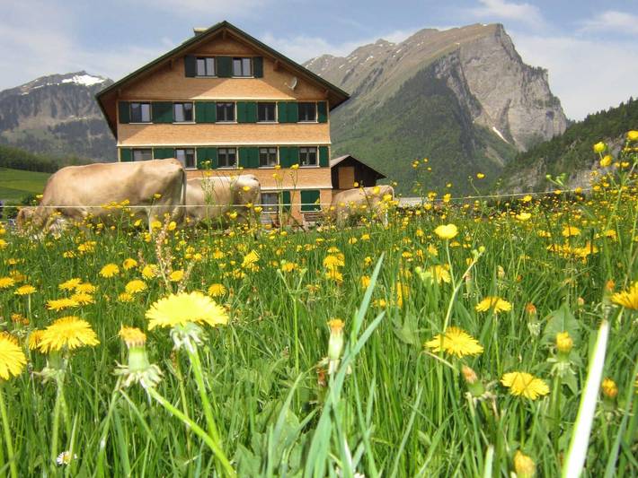 Bauernhof für 2 Personen, mit Garten und Ausblick in Vorarlberg