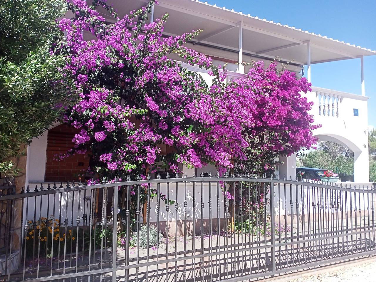 Ganze Wohnung, 1-Zimmer-Ferienwohnung mit Terrasse Drage, Biograd A-17392-b in Drage (Pakoštane), Zadar