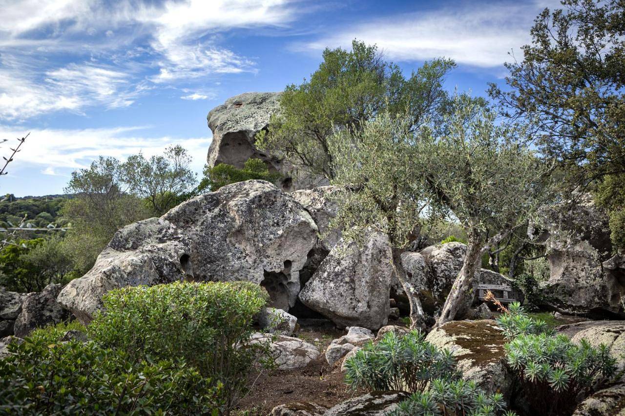 Standard Double Room in Luogosanto, Gallura