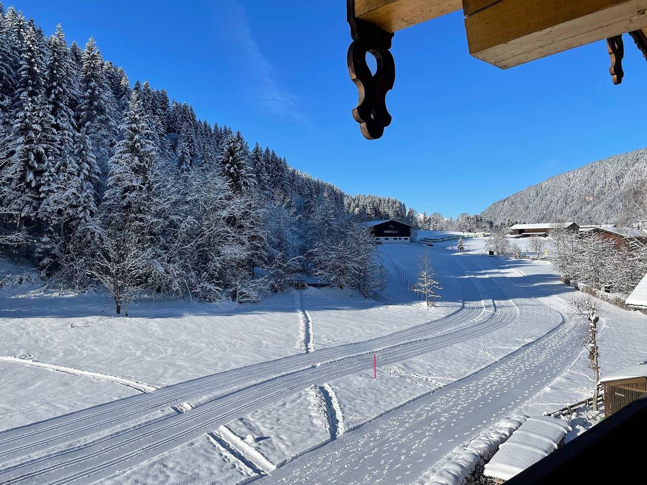 Ganze Wohnung, Apartment 'Bergglück Wildschönau' mit Bergblick, Balkon und Wlan in Wildschönau, Kitzbüheler Alpen