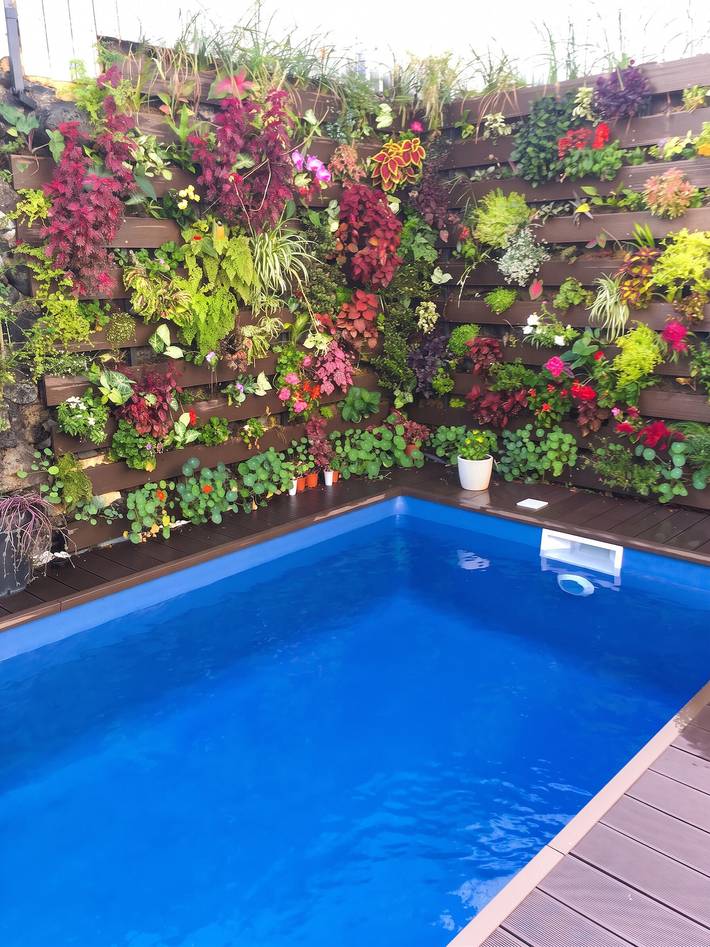 Studio pour 2 personnes, avec jardin ainsi que terrasse et piscine - 1
