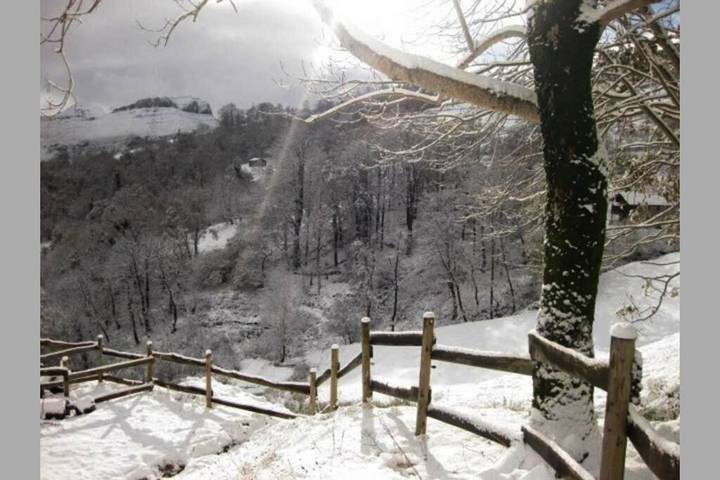Casa rural para 5 personas, con vistas y jardín, Se admiten mascotas en Valle del Miera - 4