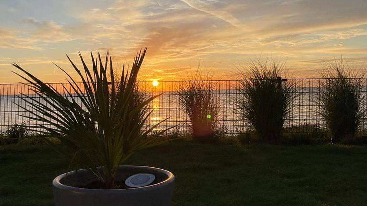 Ferienhaus für 4 Personen (70 m²) in Gemeente Enkhuizen in Enkhuizen, Ijsselmeer