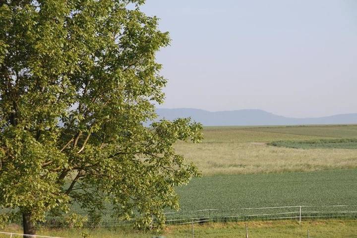 Location de vacances pour 6 personnes, avec jardin et vue à Betschdorf - 2
