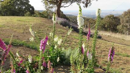 Chalet für 4 Personen in New South Wales, Bild 1
