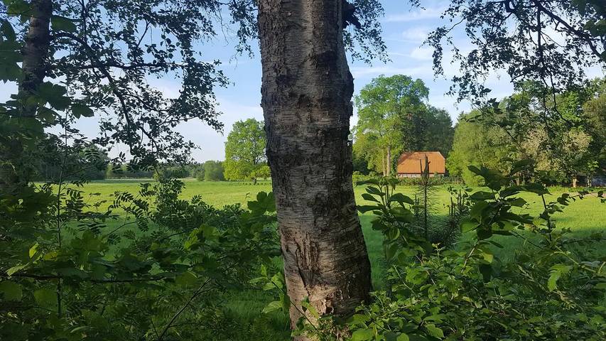 Ferienhaus für 2 Personen, mit Whirlpool und Garten sowie Sauna in Landkreis Rotenburg (Wümme) - 4