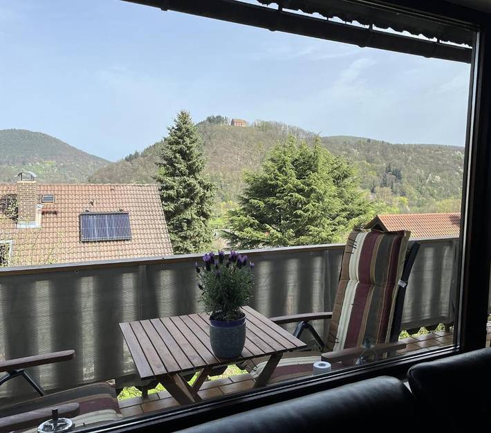 Ferienwohnung für 5 Personen, mit Balkon und Terrasse sowie Garten und Ausblick in Amorbach - 2