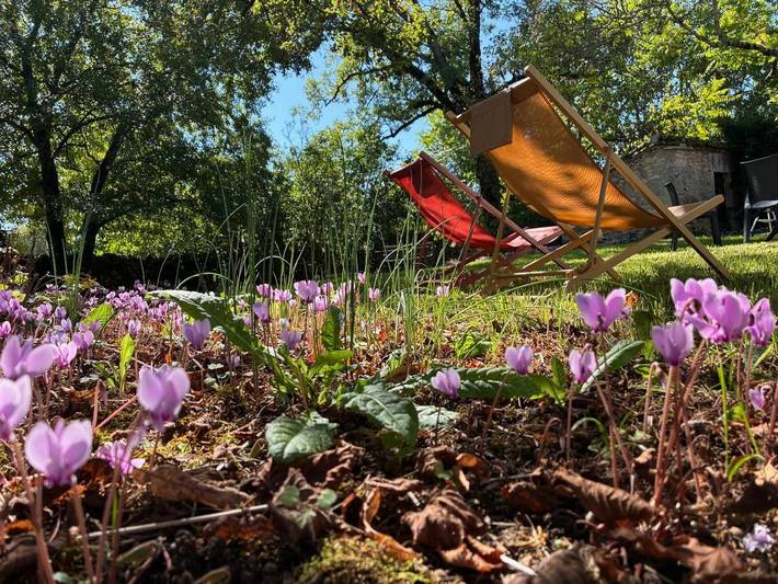 Location de vacances pour 6 personnes, avec jardin ainsi que piscine et terrasse, animaux acceptés à Concots - 4