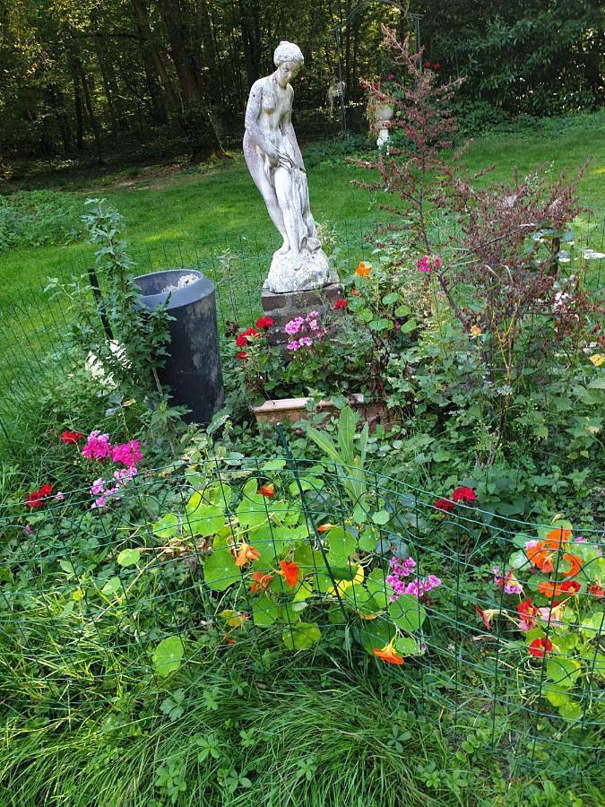 Location de vacances pour 4 personnes, avec jardin et terrasse, animaux acceptés à Montévrain - 2