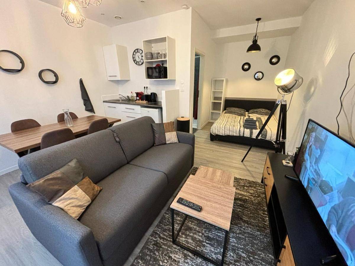 Appartement entier, One-Bedroom Apartment in Montbéliard, Doubs