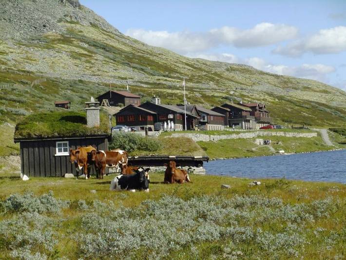 Hotel voor 3 personen, with terras and sauna as well as whirlpool in Oppland