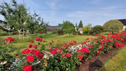 Ferienwohnung für 4 Personen in Olbernhau, Chemnitz und Umgebung, Bild 4