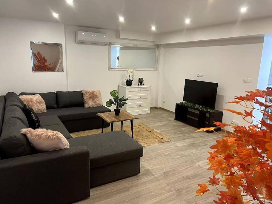 Appartement entier, One-Bedroom Apartment in Prades, Région de Prades