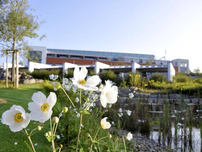 Hôtel pour 3 personnes, avec piscine et jardin ainsi que sauna et vue dans Neckargemund - 2