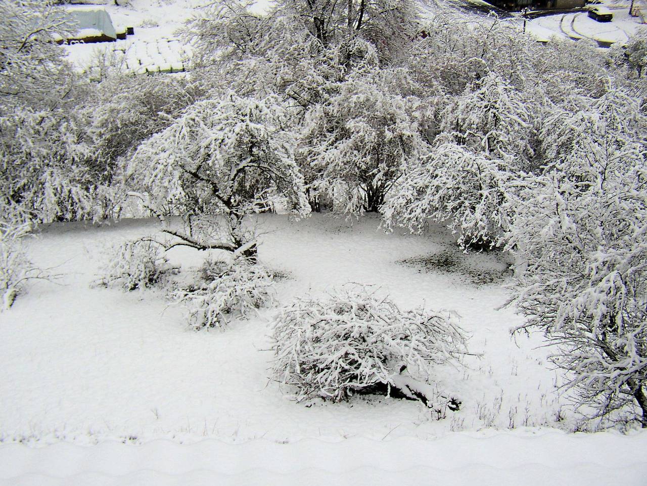 Gästehaus Grau - Doppelzimmer mit Balkon (Etagendusche/Wc) in Egloffstein, Frankenalb