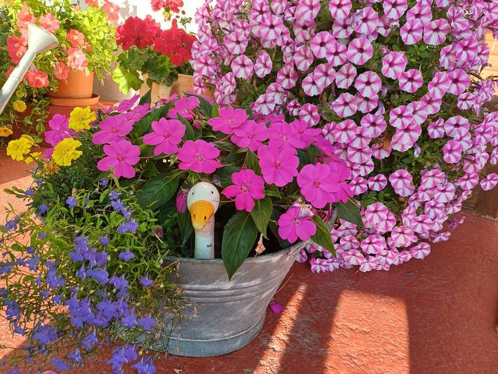 Ferienwohnung für 4 Personen, mit Garten und Balkon in Söll - 3