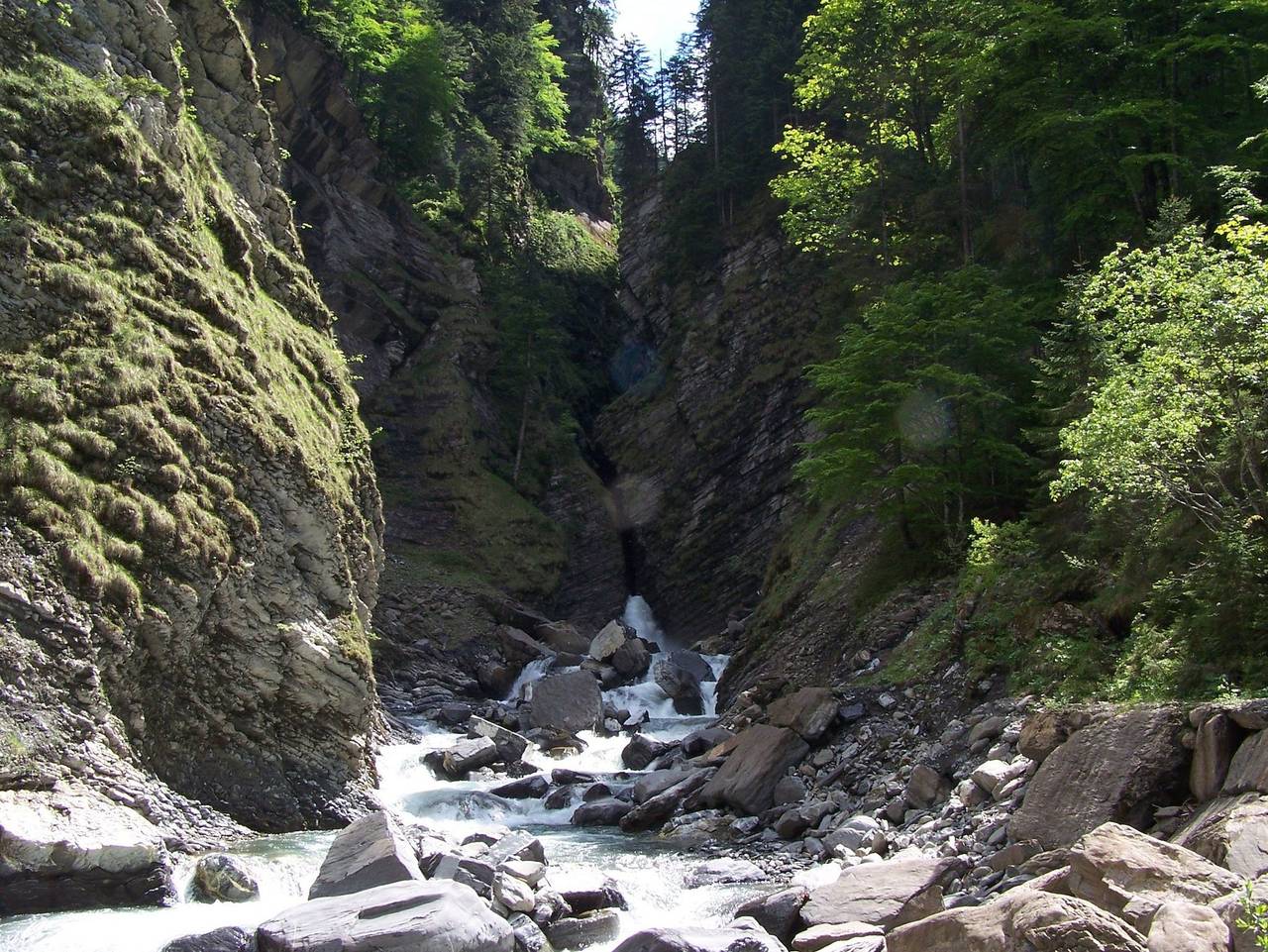 Ganze Ferienwohnung, Ferienwohnung Peter - Fewo Peter, 3 Sz+ 1 Schlafsofa in Au, Bregenzerwald