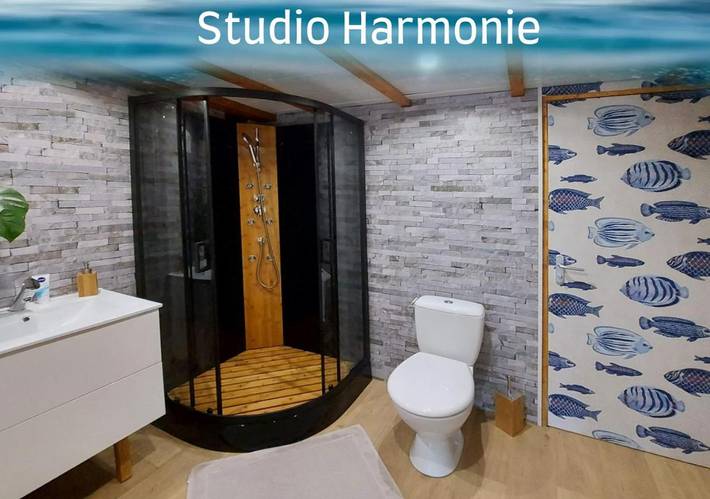 Gîte pour 2 personnes, avec terrasse à Dompierre-sur-Besbre - 2