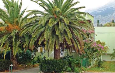 Ferienwohnung für 6 Personen in Makarska