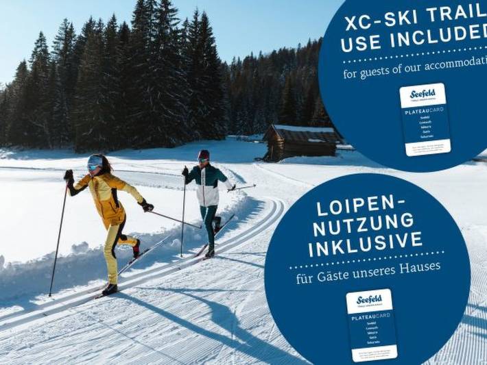 Ferienhaus für 6 Personen, mit Sauna und Terrasse in Leutasch - 4