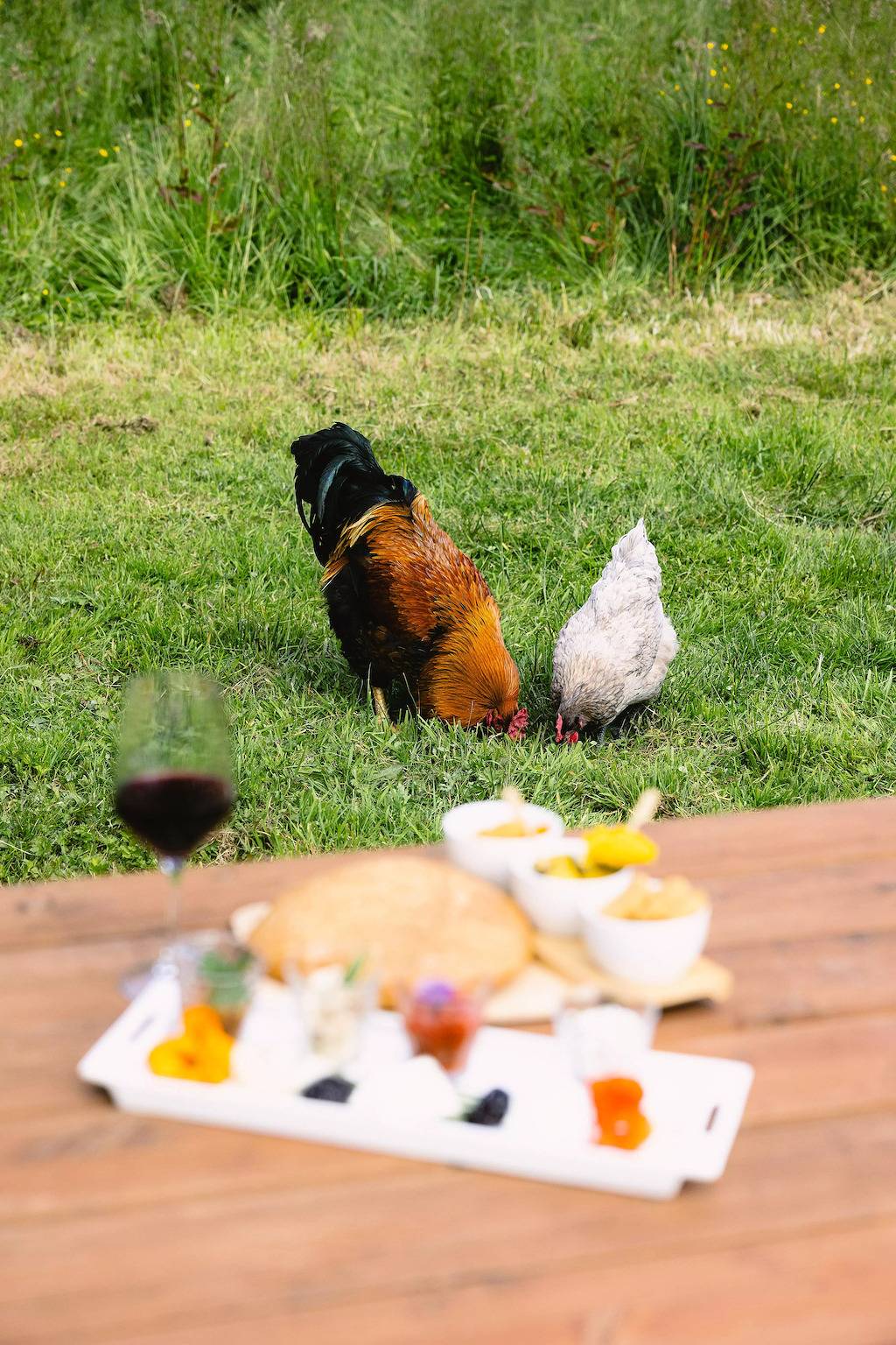 Appartement entier, Tiny House dans une ferme à 20 min du zoo de Beauval in Faverolles, Vallée de la Loire