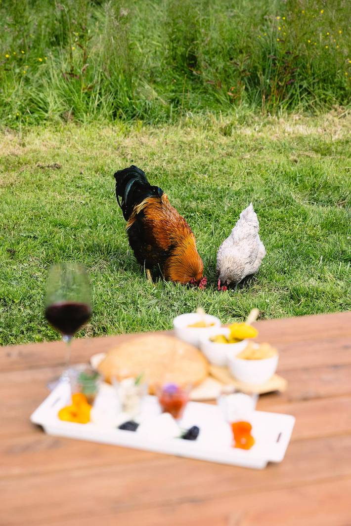 Appartement entier, Tiny House dans une ferme à 20 min du zoo de Beauval in Faverolles, Vallée de la Loire