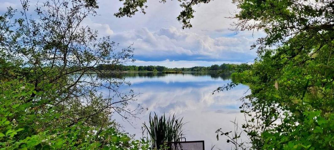 Location de vacances pour 7 personnes, avec Terrasse et Jardin à Mézières-en-Brenne - 4
