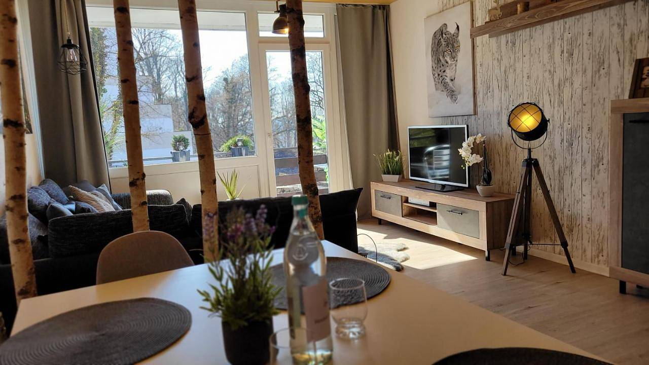 Ganze Wohnung, One-Bedroom Apartment in Sankt Andreasberg, Braunlage
