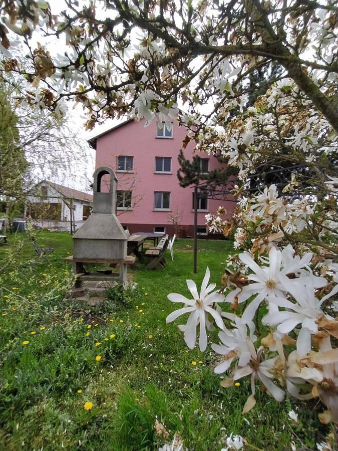 Ferienhaus für 8 Personen, mit Garten und Ausblick - 1