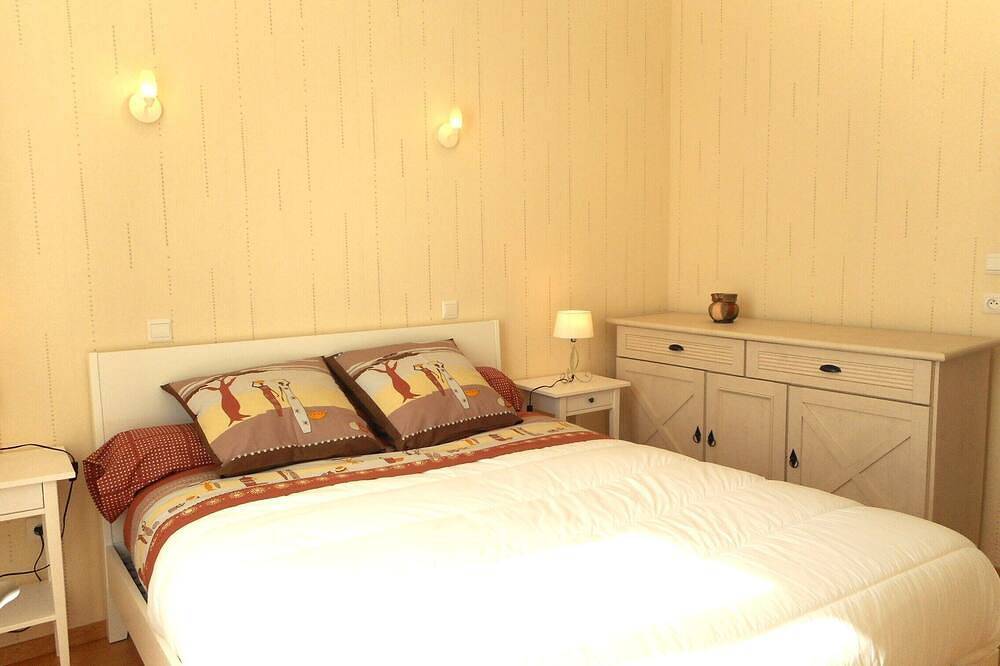 In Vichy, charming town house 50m from the parks and the Allier in Vichy, Vichy region