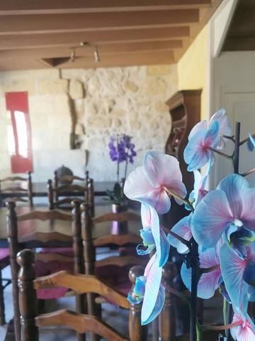 Chambre d’hôte pour 3 personnes, avec vue et terrasse à Saint-Émilion
