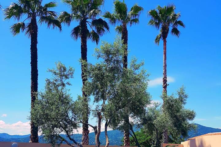 Location de vacances pour 8 personnes, avec jardin et jacuzzi à Vescovato - 4