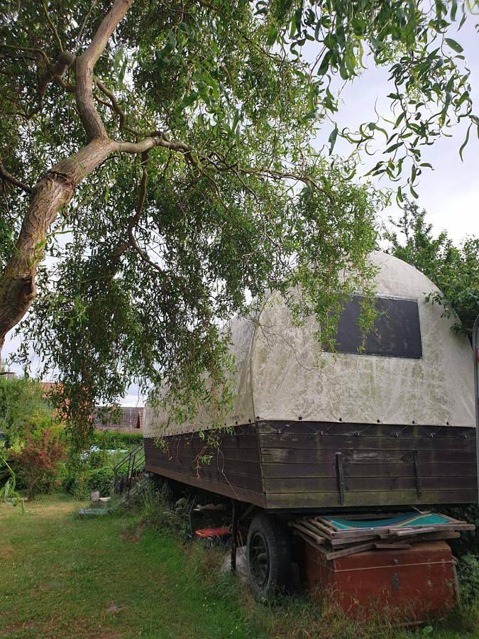 Ferienwohnung für 4 Personen, mit Terrasse und Garten sowie Pool und Sauna in Kittendorf - 4