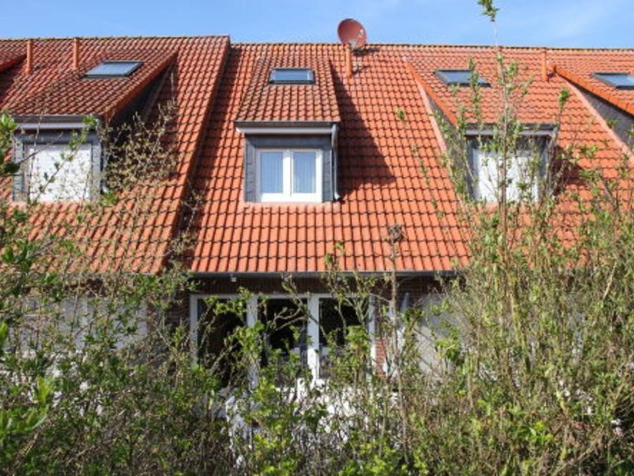 Dirks Ferienhaus Seestern - Ferienhaus Seestern in Varel, Metropolregion Bremen-Oldenburg