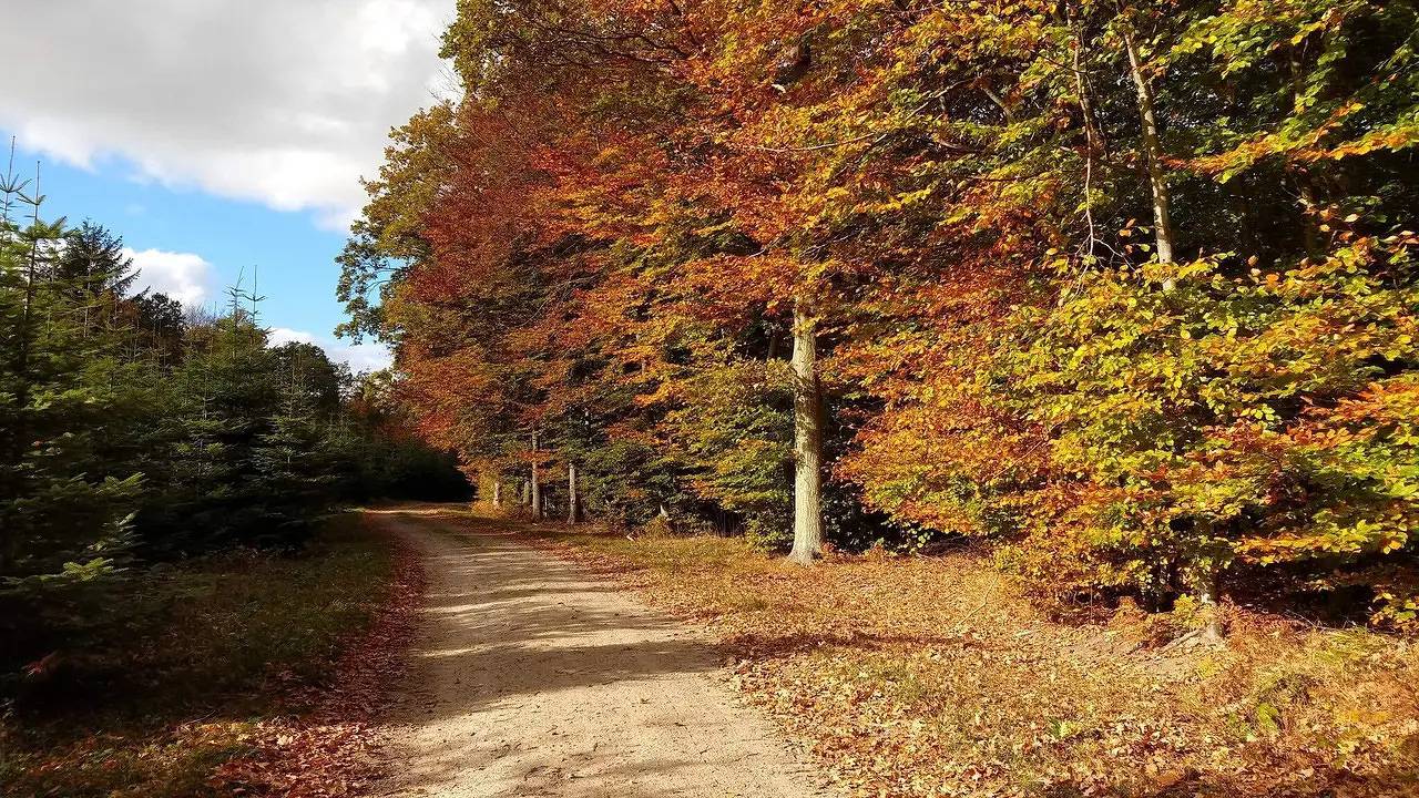 Ferienhaus für 4 Personen (36 m²) in Karrebæksminde in Karrebæksminde, Schwedische Ostsee