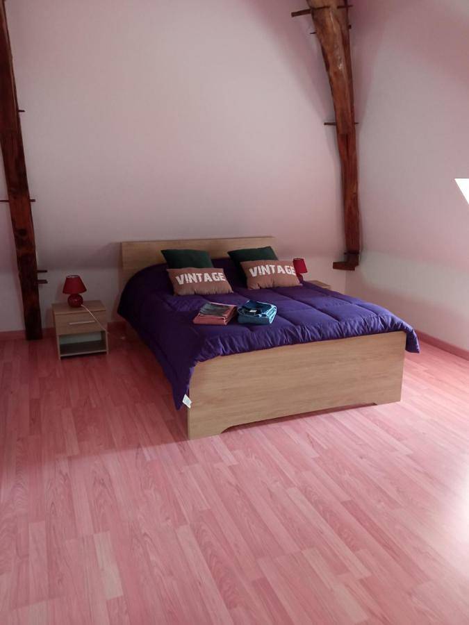 Location de vacances pour 4 personnes, avec terrasse et jardin à Le Grand-Pressigny - 2