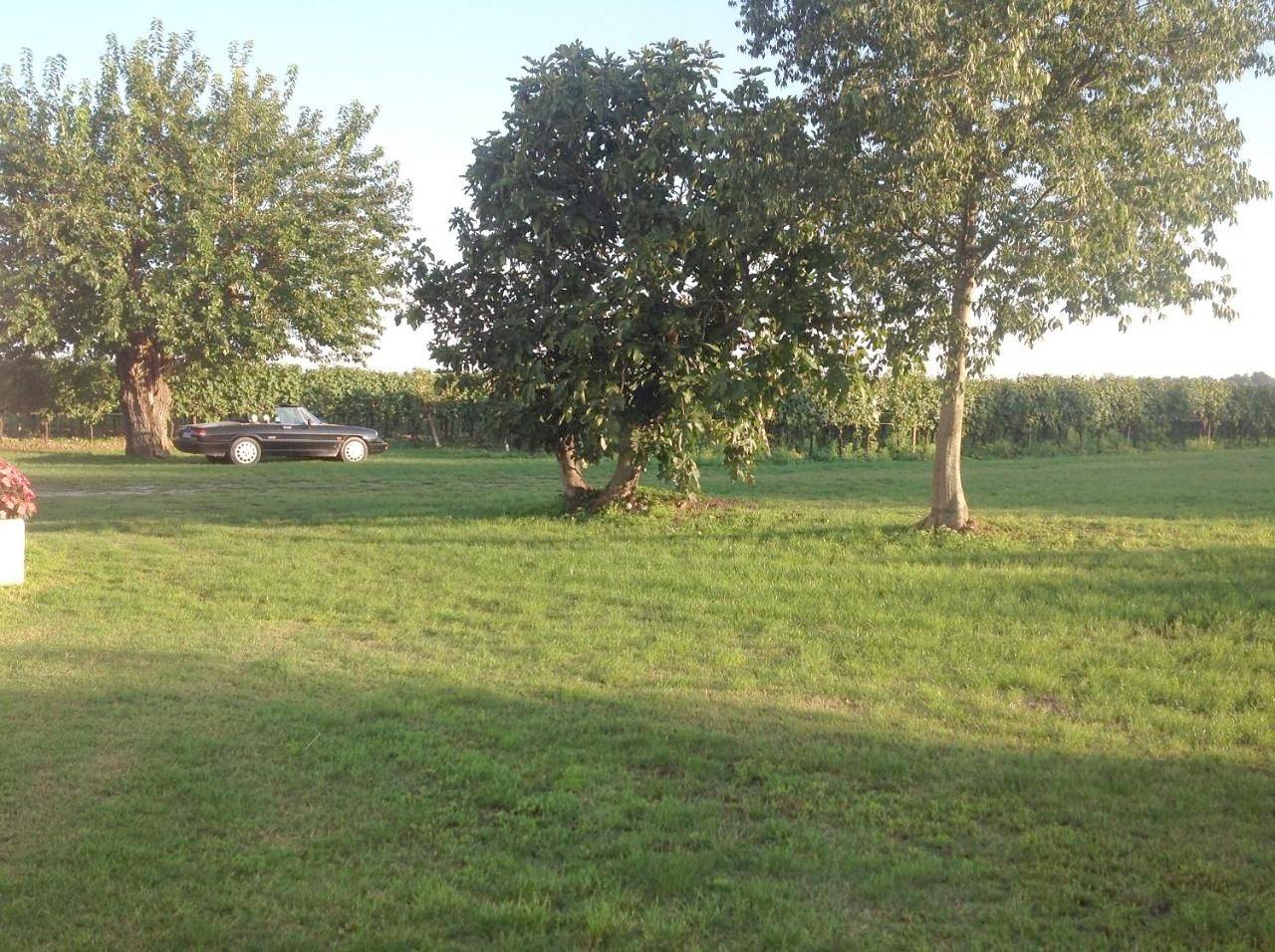 Agriturismo I Mischi in Castelnuovo del Garda, Prealpi Gardesane