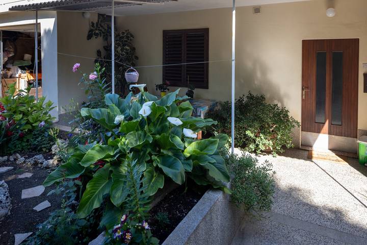 Zimmer Haustiere erlaubt Stari Grad, Hvar S-14831-c in Stari Grad, Hvar