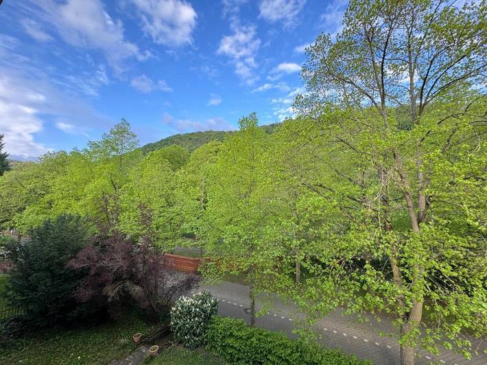 Ferienwohnung für 8 Personen, mit Garten und Ausblick in Bad Kreuznach - 4