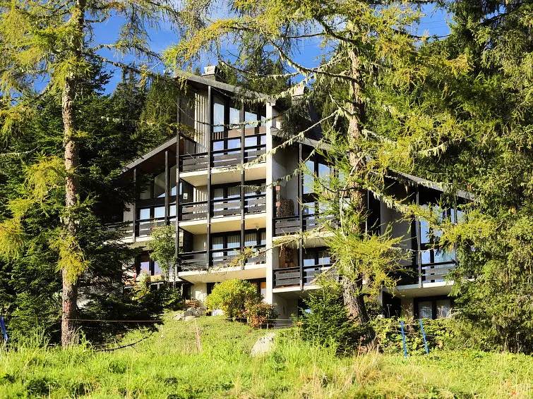Appartement entier, 1 Pièce 2 Personnes in Gryon, Alpes Vaudoises