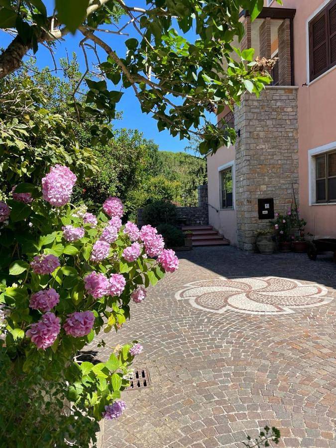 Gîte pour 5 personnes, avec jardin et vue, animaux acceptés à Castro dei Volsci - 4
